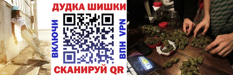 Купить где  Бор  Бошки марихуана сатива 